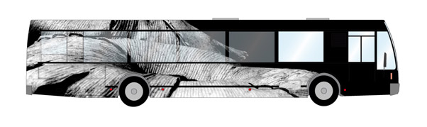 bus-droit.jpg